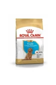 Royal Canin Puppy Poodle Küçük Irk Yavru Köpek Maması 3 kg - 1