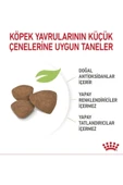 Royal Canin Mini Indoor Puppy Köpek Maması 1,5 Kg - 3