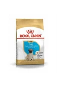 Royal Canin Pug Irkı Junior Yavru Köpek Maması 1,5 kg - 1