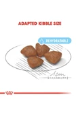 Mini Starter Mother And Babydog Kuru Köpek Maması 3kg - 3