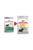 Royal Canin Mini Dermacomfort Yetişkin Köpek Maması 3 Kg thumbnail 1