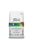 Felicia 12 kg Tavuklu-Hamsili Yetişkin Kedi Maması - 1