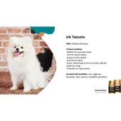 Plus Pomeranian Yetişkin Köpek Maması 2 kg thumbnail 2