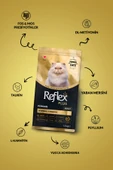 plus persian yetişkin kedi maması 1,5 kg - 2