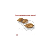 Ccn Mini Exigent Köpek Maması, 3 kg - 4
