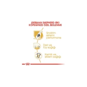 11kg German Shepherd Adult Yetişkin Köpek Maması thumbnail 4