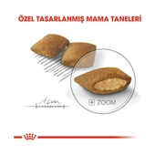 Ccn Mini Exigent Yetişkin Köpek Maması 3 kg - Farmapets thumbnail 5