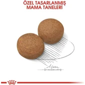 Maxi Adult Yetişkin Köpek Maması 15 kg thumbnail 3