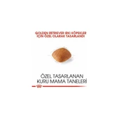 Royal Canin Golden Retriever Adult Yetişkin Köpek Maması 12 kg thumbnail 2
