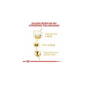 Royal Canin Golden Retriever Adult Yetişkin Köpek Maması 12 kg thumbnail 3