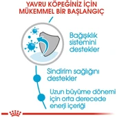 Maxi Puppy Büyük Irk Yavru Köpek Maması 15 kg thumbnail 4