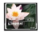 1 Gb Compact Flash Hafıza Kartı 50 pin - 1