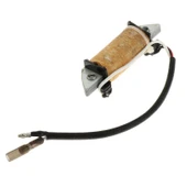 Tomking TKF15/TKF15-L Deniz Motoru Elektronik Bobin - 1
