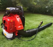 Gardenpro EB985 Benzinli Üfleme Makinası 5 Hp - 3