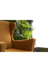 Evdebiz Gold Lola Berjer - 3