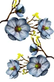 Yapay Çiçek Eva Mavi Manolya 2 Çiçek 1 Tomurcuk Uzun Dal Çiçek Flowers 55cm Gerçeksi Doku - 5