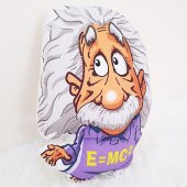 Einstein Yastık - 2