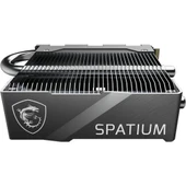 TEKNOTEG - MSI Spatium M580 FROZR Soğutuculu 2TB PCIe 5. M.2 - 4