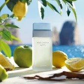 D&G LIGHT BLUE 100ml EDT thumbnail 2