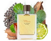 TERRE D HERMES EAU INTENSE VETIVER 100ML EDP thumbnail 3