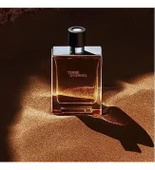 TERRE D HERMES 100ML EDT thumbnail 3