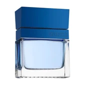 GUESS SEDUCTIVE HOMME BLUE 100ml EDT thumbnail 3