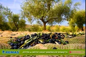 Cifarelli SC 800 Zeytin Ağaç Silkeleme Makinesi - 4