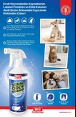 Bio Pet Active Stain Odor Remover Koku Silici Leke Temizleyici - 2