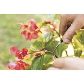 Fiskars 1063325 Bitki Ve Hasat Makasi Egik Uclu Sp160 - 2