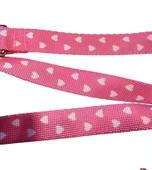 C&P Cute Pink Köpek Gezdirme Kayışı 120 cm x 2 cm - 3