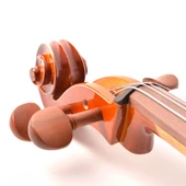 Çello (Viyolonsel) Dominguez 4/4 Gül Aksamlı Parlak DCR44CRP1 - 3