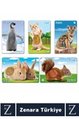 Çocuk Eğitici Görsel Algı Koordinasyon Eğlenceli DOKUN-HİSSET-TANI Eğitim Kartları YAVRU HAYVANLAR thumbnail 2