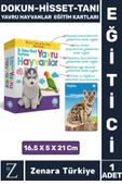 Çocuk Eğitici Görsel Algı Koordinasyon Eğlenceli DOKUN-HİSSET-TANI Eğitim Kartları YAVRU HAYVANLAR thumbnail 1