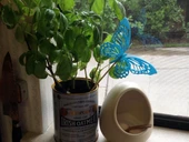 Byr Hükümdar Kelebek Bitki Yaratığı (dekoratif seçim) (Plastik Aparattır!!!) 3D - 2