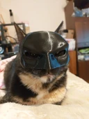 Byr CatBat Maskesi sabit geometri (Plastik Aparattır!!!) 3D - 3