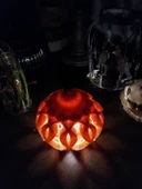 Byr Dekoratif Balkabağı Işığı "Hokkaido Wishbone" (Sadece Plastik Aparattır!!!) 3D - 3