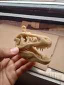 Byr T-Rex Kafatası Kolye parçası (Sadece Plastik Aparattır!!!) 3D thumbnail 1