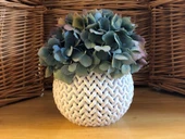 Byr Örgülü Kase (Sadece Plastik Aparattır!!!) 3D - 1