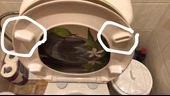 Byr WC Klozet Kapağı (Sadece Plastik Aparattır!!!) 3D - 2