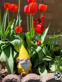 Gnome Gus (Plastik Aparattır!!!) - 5