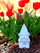 Gnome Gus (Plastik Aparattır!!!) - 4