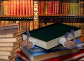 Byr Kitaptaki Kız - Bookmark / Bookmark (Sadece Plastik Aparattır!!!) 3D - 4