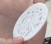 Byr Gül Pencere Kolye (Plastik Aparattır!!!) 3D - 1