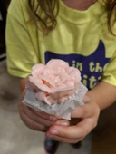 Çiçek çivisi (Plastik Aparattır!!!) - 2
