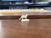 Kedi DND Mini (Plastik Aparattır!!!) - 5