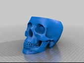 Byr Kafatası kasesi (Plastik Aparattır!!!) 3D - 3