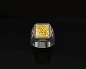 Byr Desenli Erkek Yüzük 04 (Plastik Aparattır!!!) 3D thumbnail 4