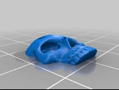 Byr Kafatası Gömlek Düğmesi (Plastik Aparattır!!!) 3D - 3