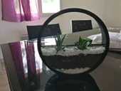 Byr Teraryum (Sadece Plastik Aparattır!!!) 3D - 3