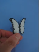 Byr Kelebek Kelebek Kolye / Kolye (Plastik Aparattır!!!) 3D thumbnail 3